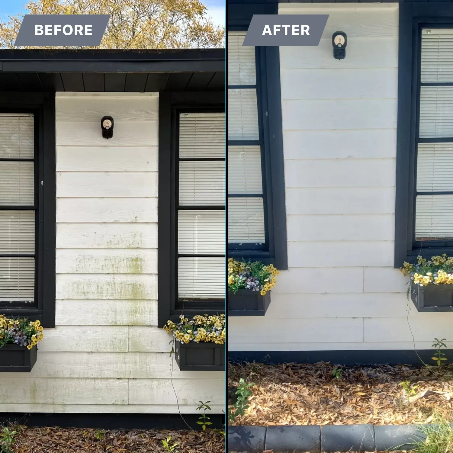 Valrico Florida Pressure Washing Near Me